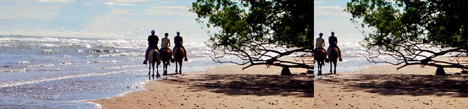 Costa Rican Trails - Licensed travel provider for Costa Rica hotels, trips, vacations and tours