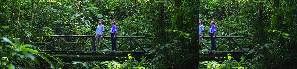 Costa Rican Trails - Licensed travel provider for Costa Rica hotels, trips, vacations and tours