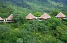 Click - Rain Forest Adventure    Vacation Package